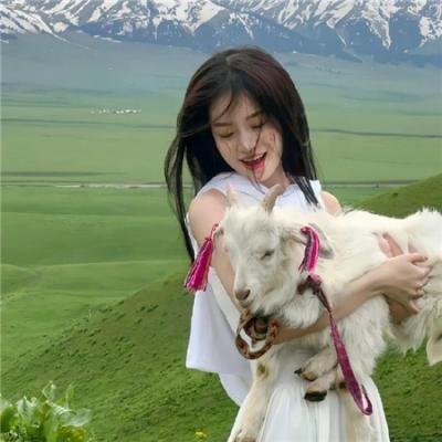 继承者风云海报
